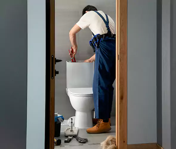 Professional Plumbers for Toilet Bowl Replacement in Garden Grove, CA: Schedule Affordable Toilet Replacement Services With Us